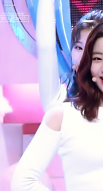 웃는게 좀 귀여운 오사카 시바견 | 인스티즈