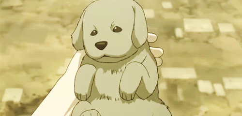 2D 강아지 (움짤多/ | 인스티즈