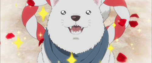 2D 강아지 (움짤多/ | 인스티즈