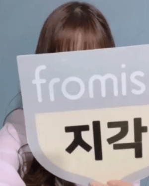 주인보다 먼저 유명세를 탄 고양이 | 인스티즈