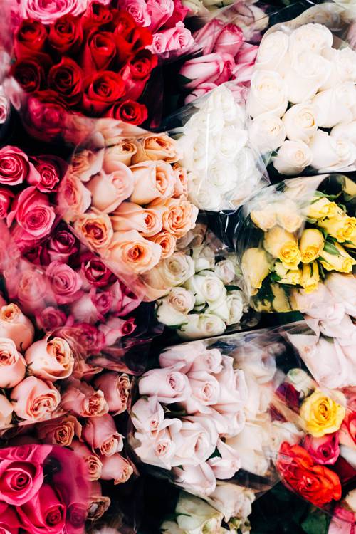 네가 나의 자랑이란걸 기억력이 좋은 네가 기억하기를,바라면서 나는 얼쩡거렸지 | 인스티즈