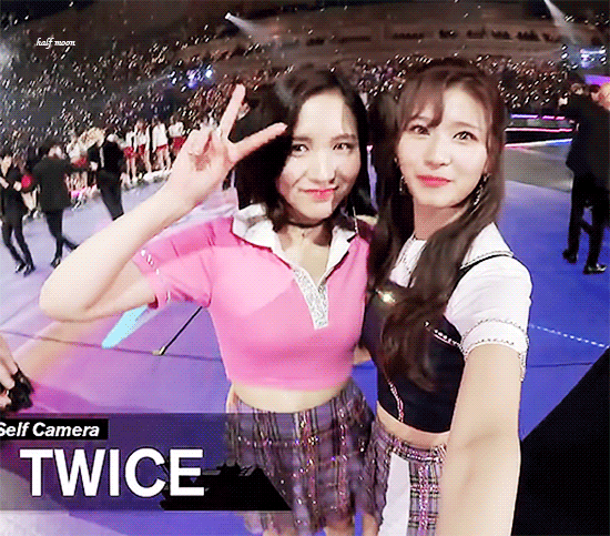 웃는게 좀 귀여운 오사카 시바견 | 인스티즈