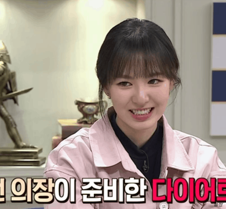 비정상회담 나온 완이 웬디 & 슬기 | 인스티즈