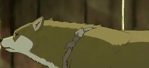 2D 강아지 (움짤多/ | 인스티즈