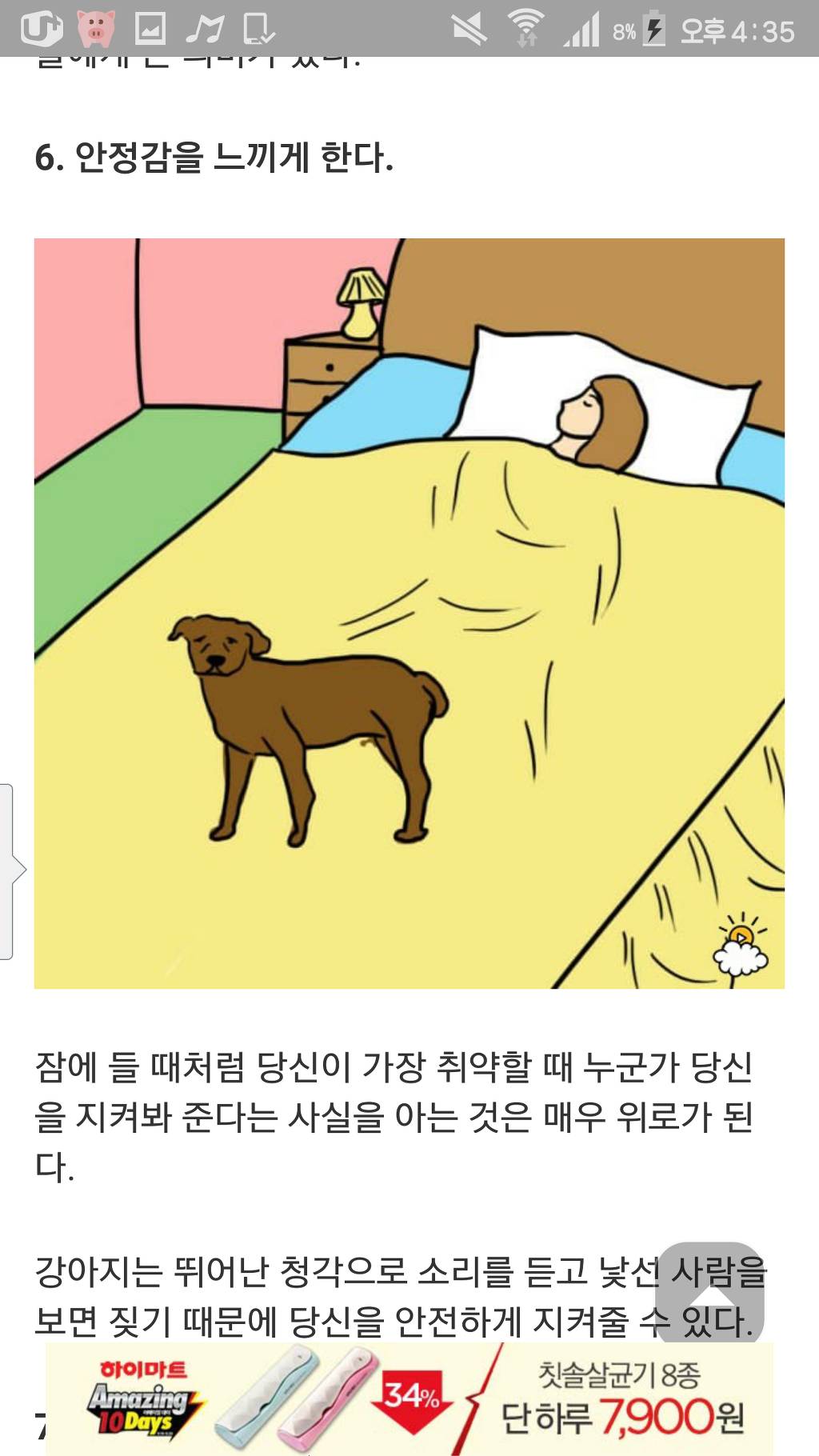 강아지와 함께자면 좋은점 7가지 | 인스티즈