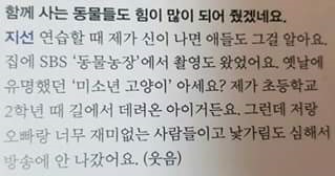 주인보다 먼저 유명세를 탄 고양이 | 인스티즈