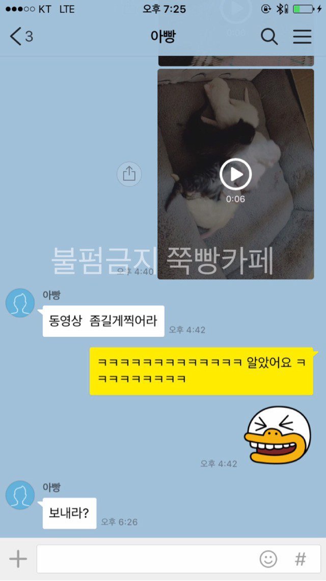 고양이는 다 요물이라며 갖다버리라던 아버지 | 인스티즈