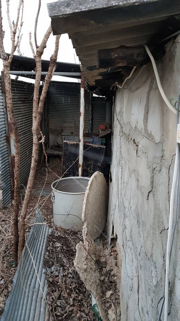 종이비행기 국가대표의 근본투어 | 인스티즈