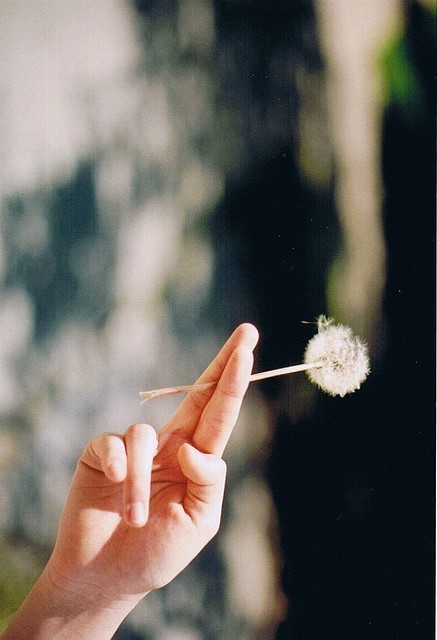네가 나의 자랑이란걸 기억력이 좋은 네가 기억하기를,바라면서 나는 얼쩡거렸지 | 인스티즈