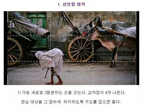 유용한 사진 구도 9가지 | 인스티즈