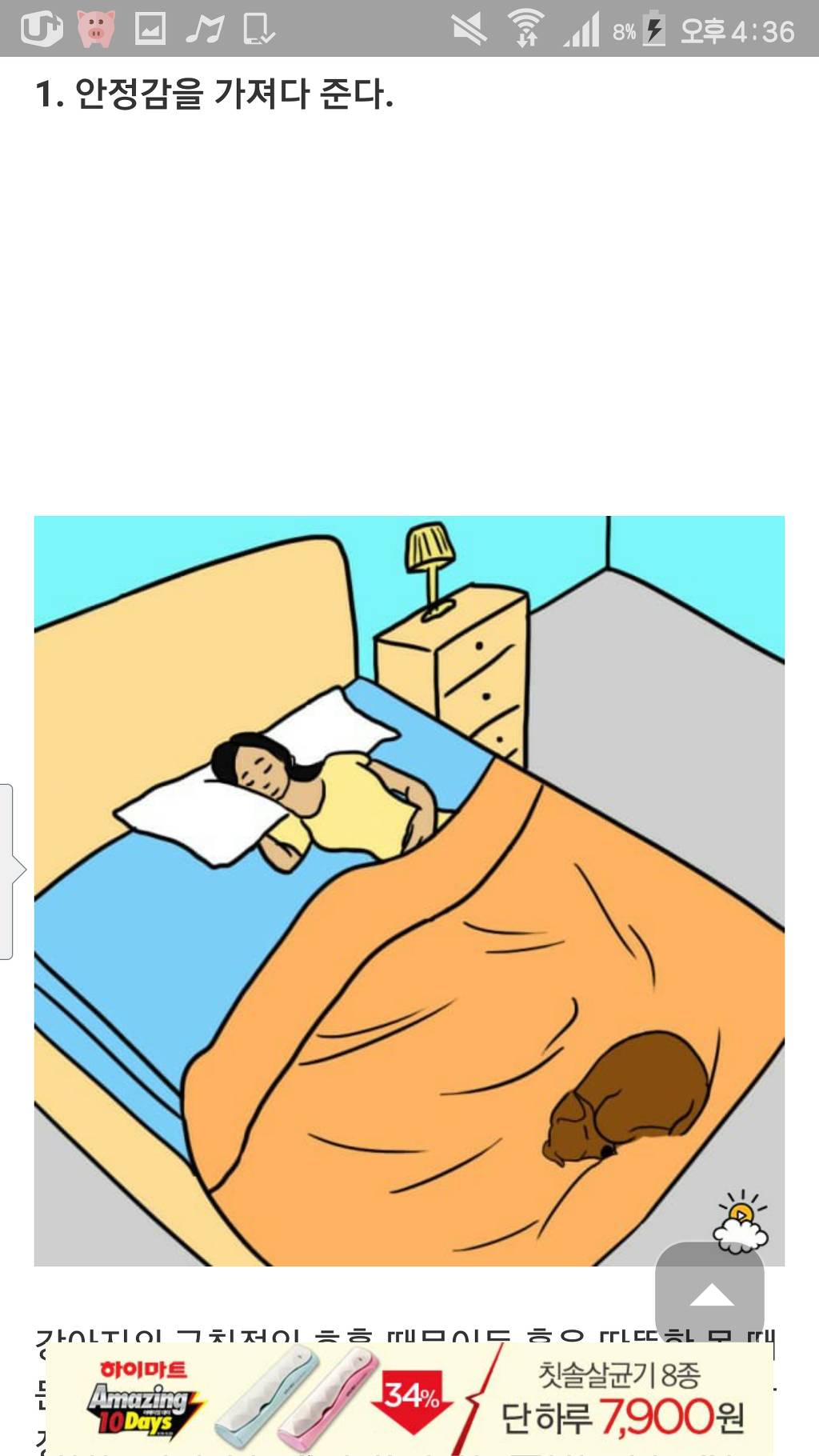 강아지와 함께자면 좋은점 7가지 | 인스티즈