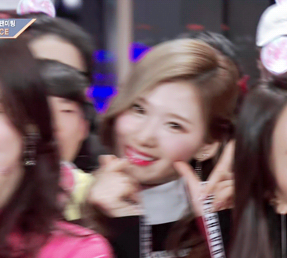 웃는게 좀 귀여운 오사카 시바견 | 인스티즈