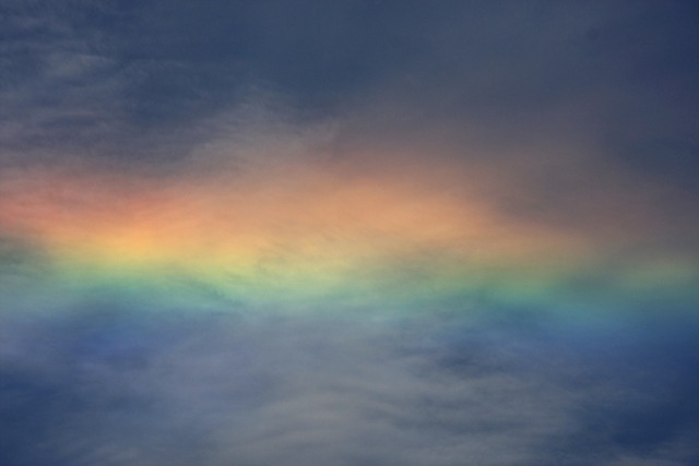 특이한 무지개들 | 인스티즈