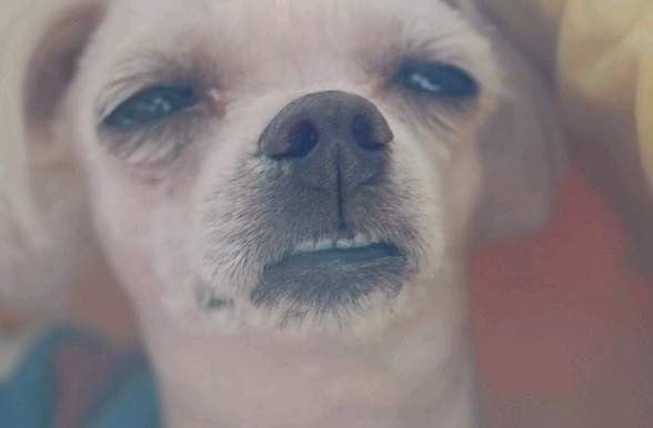 아이돌 덕질하는 딸들에게 엄마,아빠들이 많이 치는 장난 | 인스티즈