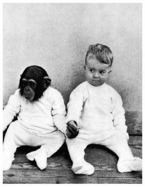 현대에는 불가능한 실험 | 인스티즈