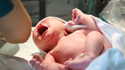 2018년 첫 아기 마음이 | 인스티즈