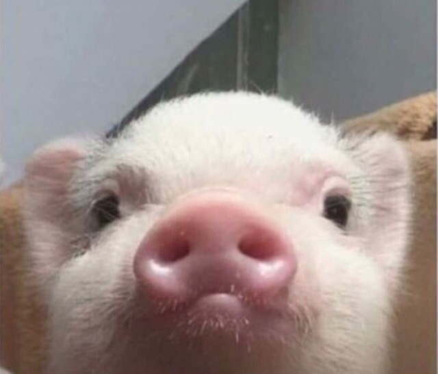 [ZOO] 기괴/반전/감동 다 잡은 옴니버스식 영화 ZOO 4탄! | 인스티즈