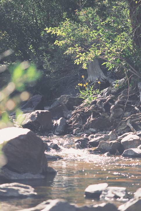 그냥 움짤 모음 .GIF | 인스티즈