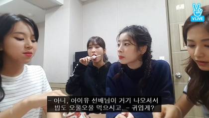 아이유 덕후 트와이스 .gif | 인스티즈