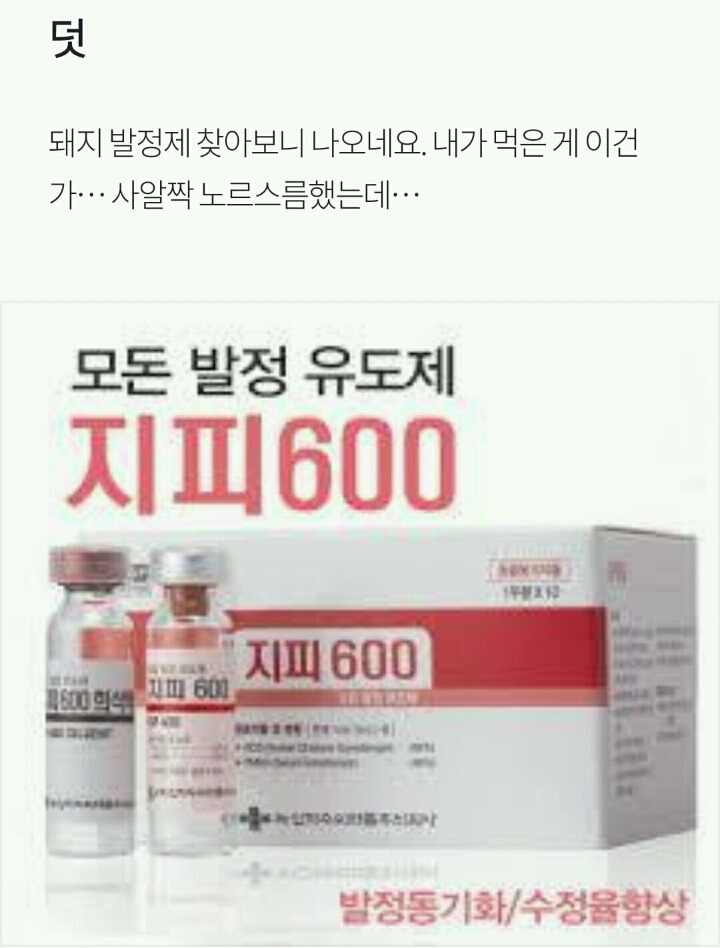 돼지 발정제를 먹어봤습니다 | 인스티즈