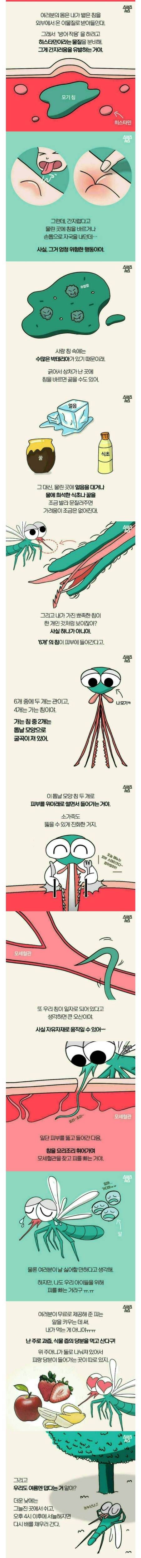 모기에 대해 | 인스티즈