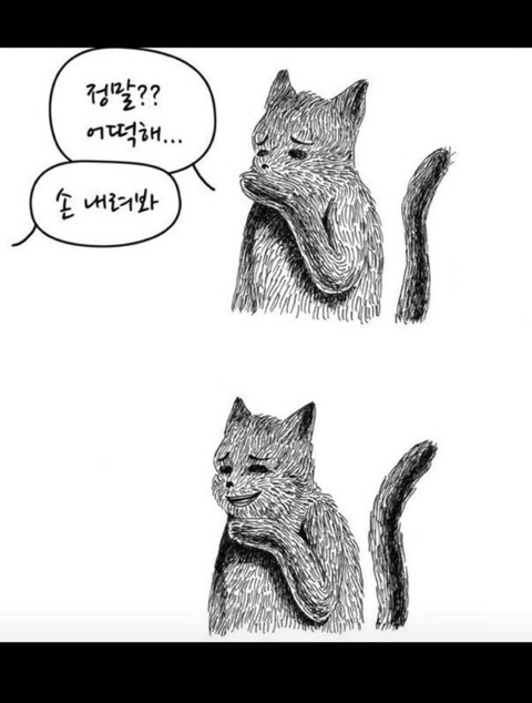 다들 말로는 별로라고 하지만 마음속으로는 좋아하는 브랜드 | 인스티즈