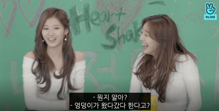 지효에게 뭔가 있다는 사나 | 인스티즈