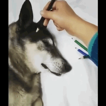 극사실주의.GIF | 인스티즈