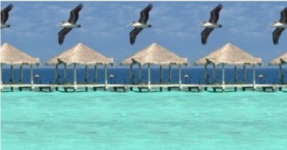 매직아이 | 인스티즈