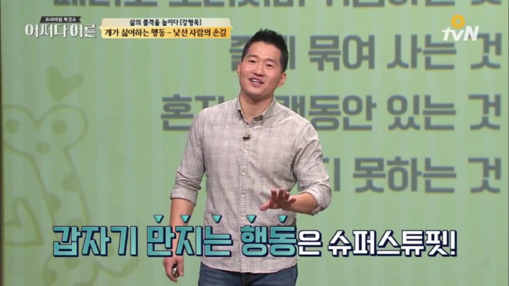 길을 가다 산책하는 댕댕이를 봤을 때 취해야 할 행동 | 인스티즈