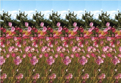 매직아이 | 인스티즈