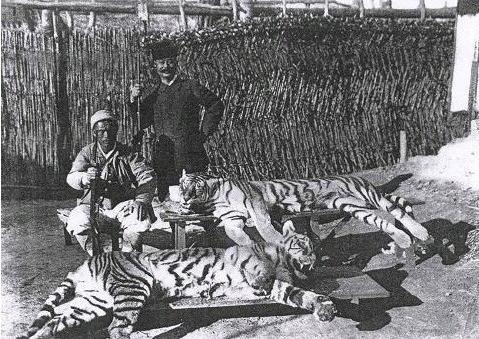 일본이 멸종 시킨 우리나라 동물들 | 인스티즈