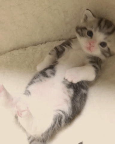 심장주의 | 인스티즈