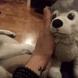 질투하는 댕댕이.gif | 인스티즈