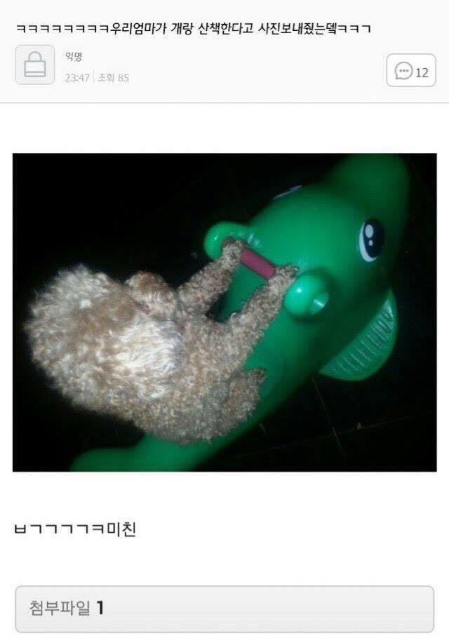 남자분들여자가슴만지는이유 | 인스티즈