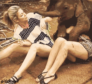 동물들의 뒤치기 | 인스티즈