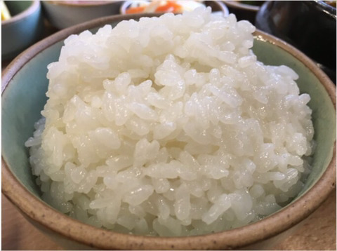 된밥 or 진밥 | 인스티즈