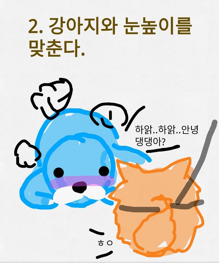 보노보노가 알려주는 산책나온 개를 만지고 싶을때 | 인스티즈