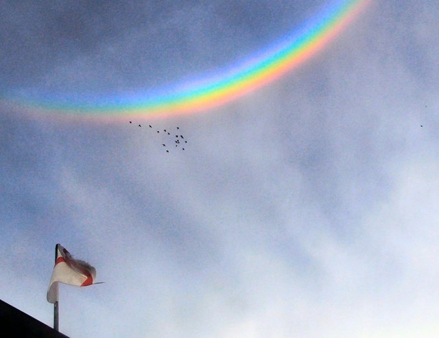 특이한 무지개들 | 인스티즈