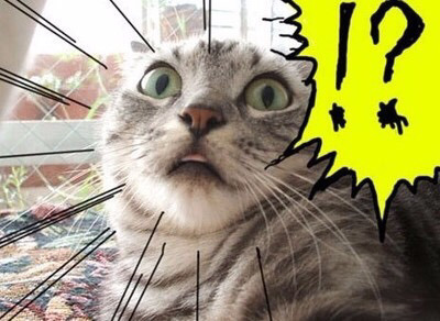 이홍기 라디오에 자주 출몰하는 외계인 (feat.김수현) | 인스티즈