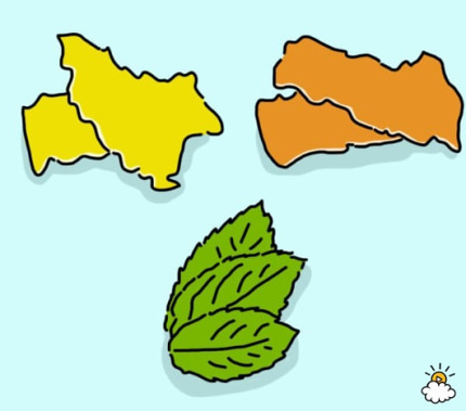 알면서 말 못하는 입 냄새..이렇게 없애라 | 인스티즈