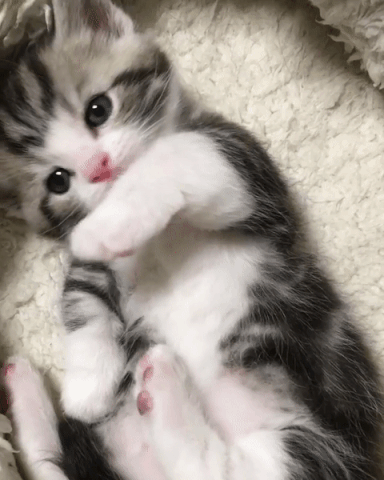 심장주의 | 인스티즈