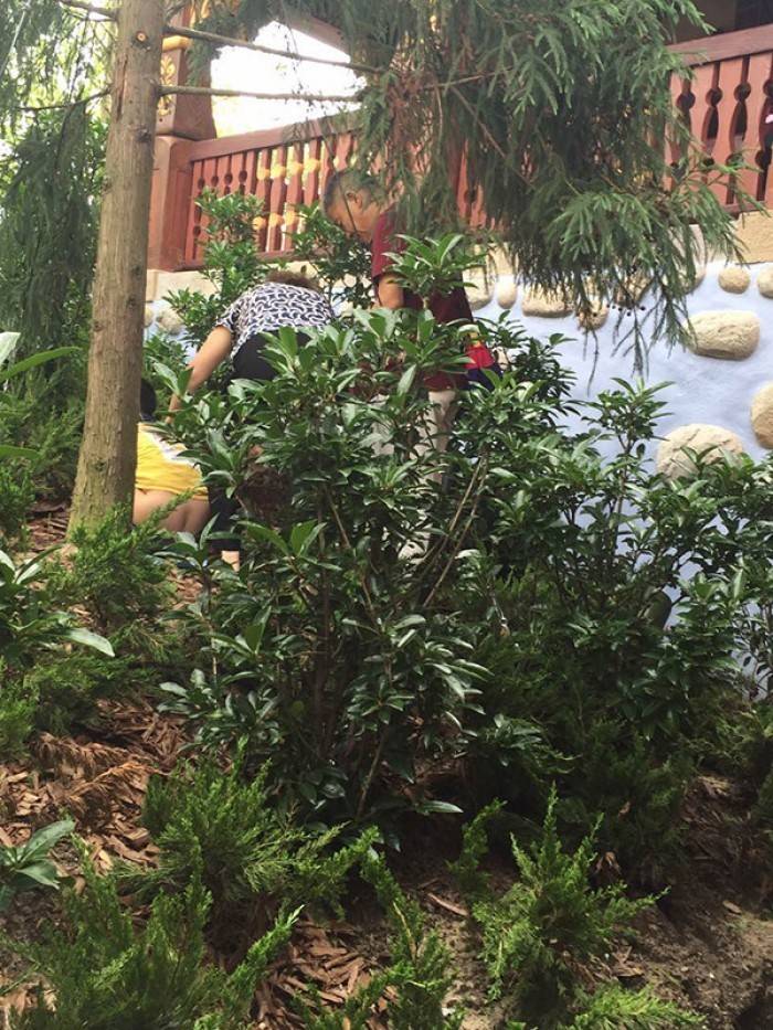 [사진주의] 디즈니랜드에서 응가를? 대륙의 놀이공원 관람 클래스 | 인스티즈