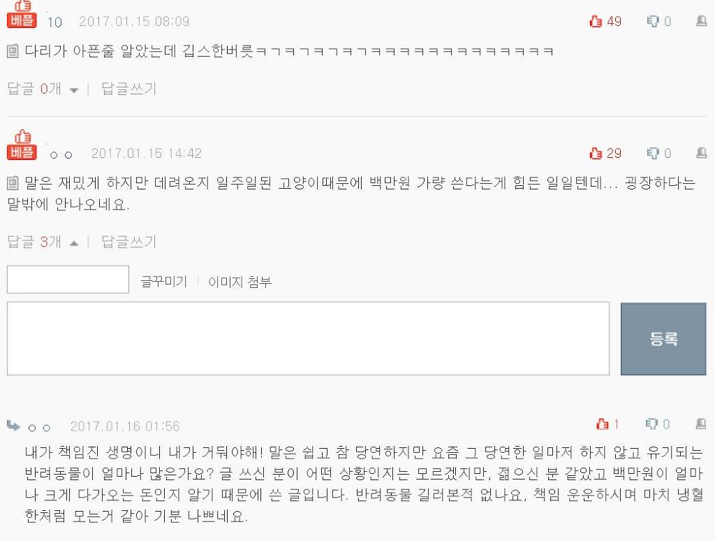 검은고양이를 입양했는데 요상한게 되어있다 | 인스티즈