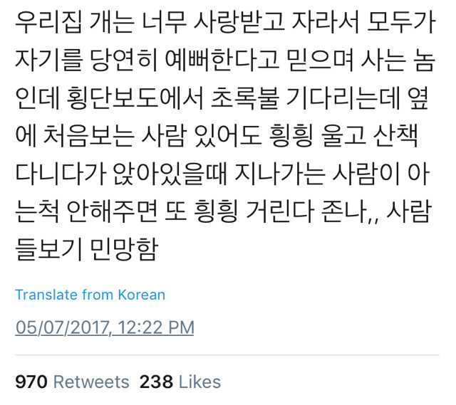 댕댕이가 사랑둥이일 경우에 벌어지는 일.twt | 인스티즈