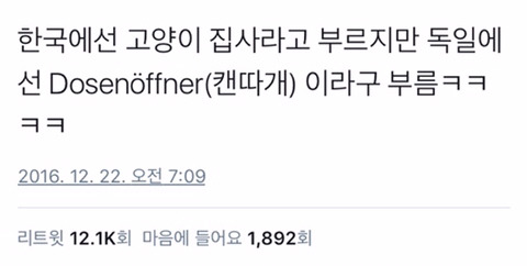 역시 한국의 고양이 집사들은 사정이 나음.twt (new!) | 인스티즈