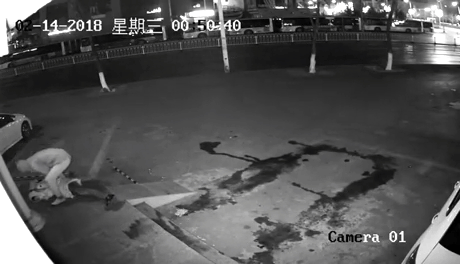 중국의 덤엔 더머 | 인스티즈