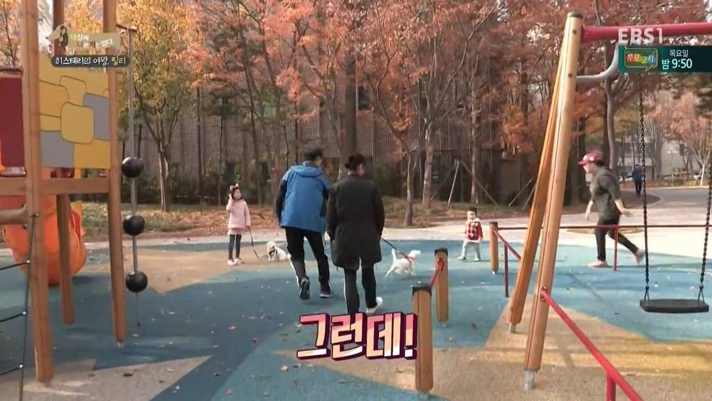 [세상에나쁜개는없다] 가족들에게 짖고 무는 강아지 릴리햏 | 인스티즈