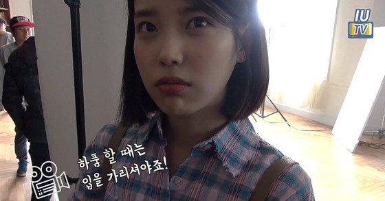 청개구리 아이유 | 인스티즈