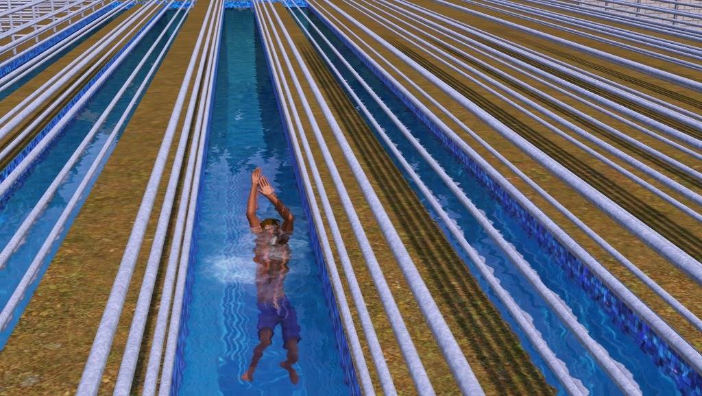 아까 심즈 집사 우리집에 온지 이틀만에 죽음.jpg | 인스티즈